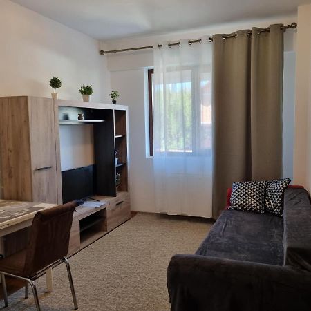 Ultracentral & Cozy, Palas Apt Iasi Eksteriør billede