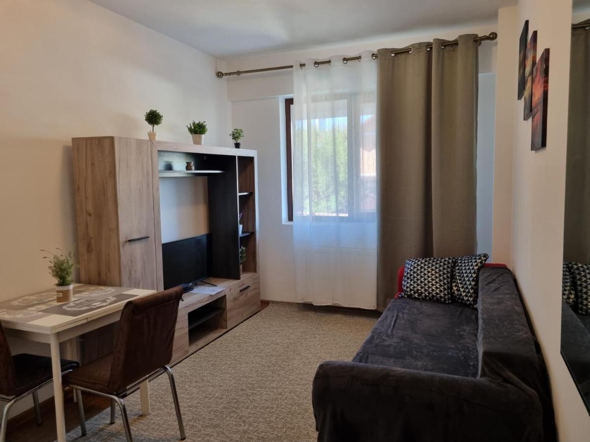 Ultracentral & Cozy, Palas Apt Iasi Eksteriør billede